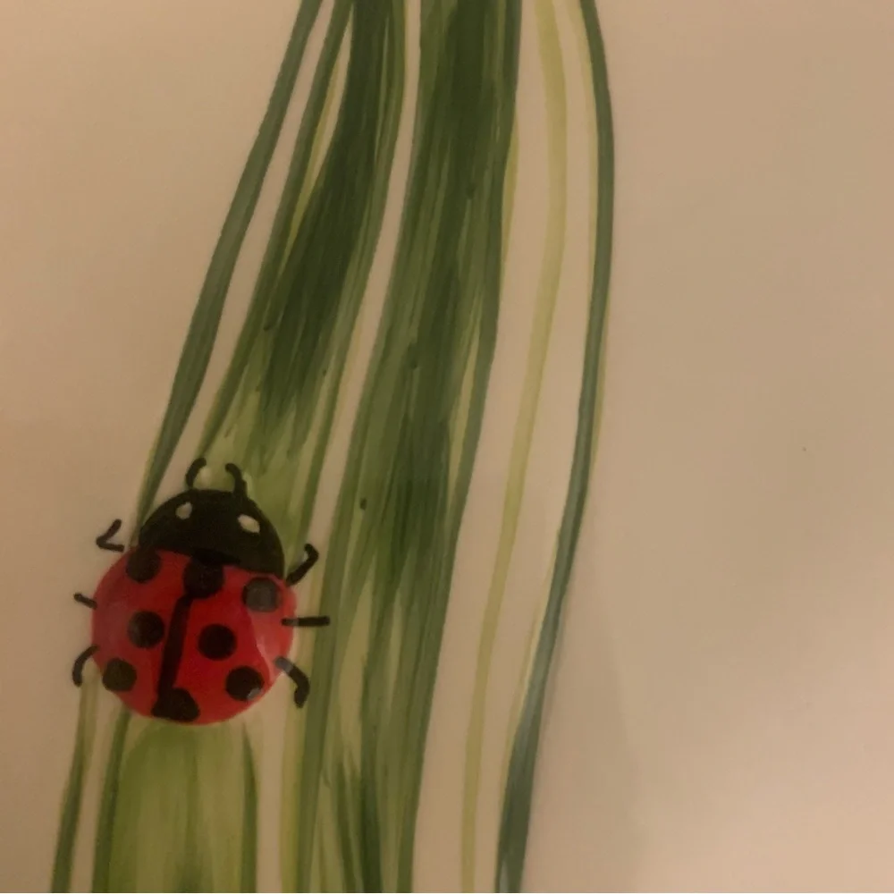 NWT Set/2 Pier 1 Imports Ladybug Hand Painted Salad Dessert Plates 8.5